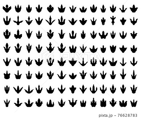 Black footprints of dinosaurs on a white background Black footprints of dinosaurs on a white background 76628783