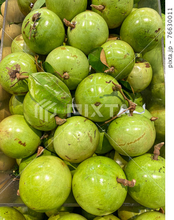 Pile of ripe chrysophyllum cainito or star apple fruit  76630011