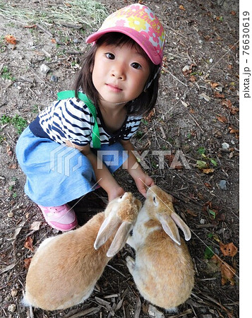 大久野島のうさぎと戯れる子供の写真素材