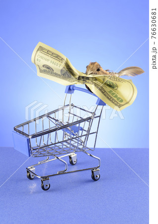 Shopping Spree Birdy 76630681