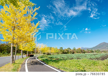 蒜山高原の秋色イメージ 蒜山高原の秋色イメージ 76630785