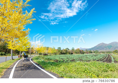 蒜山高原の秋色イメージ 蒜山高原の秋色イメージ 76630786