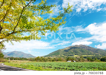 蒜山高原の秋色イメージ 76630788