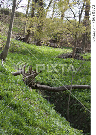 片倉城址公園 76630972