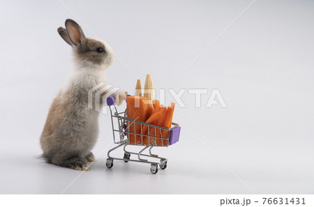 bunny pushing the shopping cart with fresh carrots and baby corn over isolated white background. 76631431
