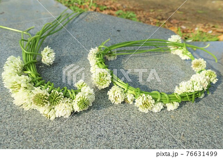 シロツメクサの花輪　花冠　リース 76631499