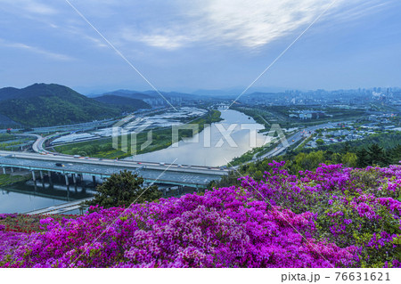 花 川 河 76631621