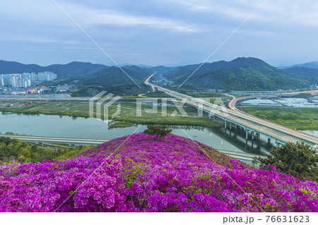 花 川 河 76631623