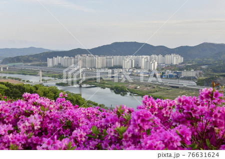 花 風景 川 76631624