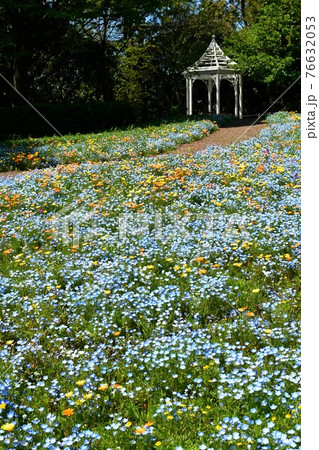 春の花園　花の公園　春爛漫 76632053