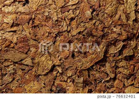 Tobacco leaves pattern 76632401