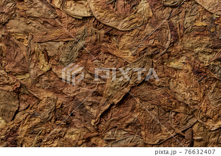 Tobacco leaves pattern 76632407