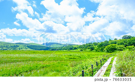夏の八島ヶ原湿原（八島湿原） 76633035