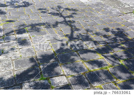 石畳 植物の影 ボタニカル 石畳 植物の影 ボタニカル 76633061