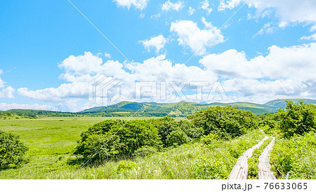 夏の八島ヶ原湿原（八島湿原） 76633065