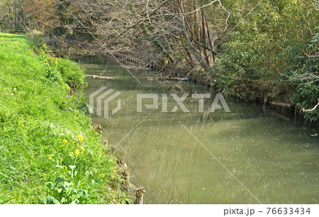 見沼田圃散歩：見沼代用水東縁　 76633434