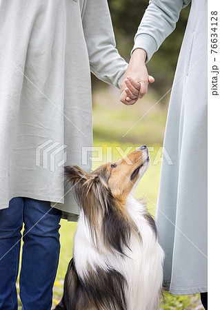 手を握る親子を見つめる飼い犬 ペット 手を握る親子を見つめる飼い犬 ペット 76634128