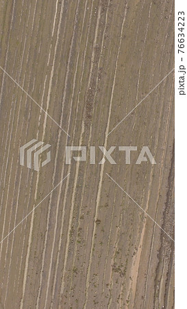 空から見下ろした「鬼の洗濯板」〜ドローンで空撮（日南海岸／宮崎県宮崎市） 76634223