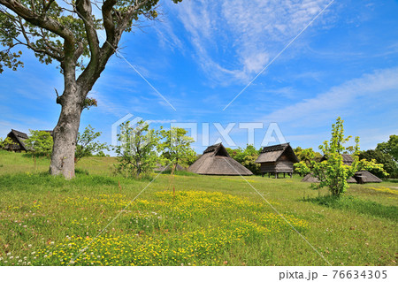 佐賀県 吉野ヶ里歴史公園 佐賀県 吉野ヶ里歴史公園 76634305