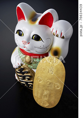 猫に小判 76634439