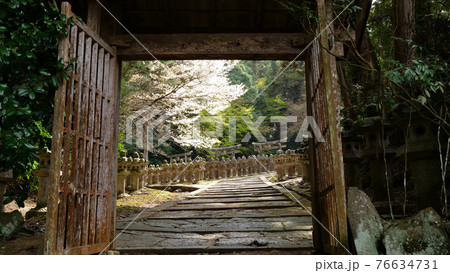 大照院21-4 大照院21-4 76634731