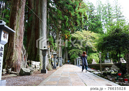 熊野古道（和歌山県 那智勝浦町） 76635028