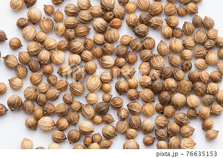 コリアンダーシード コリアンダーの種子 香菜の種子 コリアンダーシード コリアンダーの種子 香菜の種子 76635153