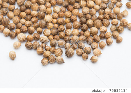 コリアンダーシード　コリアンダーの種子　香菜の種子　スタジオ撮影　 76635154