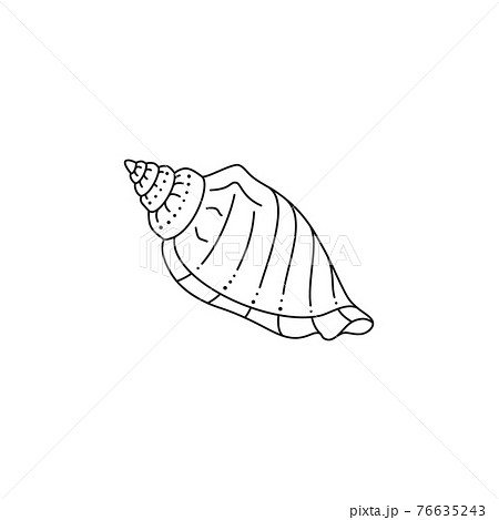 Seashell Icon In A Trendy Minimal Linear Style のイラスト素材
