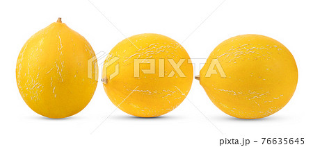 yellow melon on white background yellow melon on white background 76635645