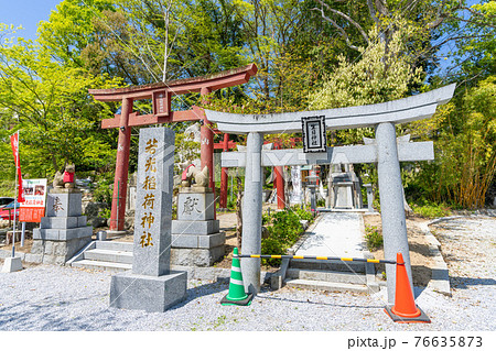 春、新緑の曩祖八幡宮（のうそはちまんぐう）　福岡県飯塚市 76635873