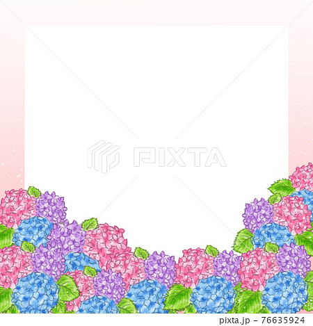 手描きあじさいイラストのピンクフレームのイラスト素材