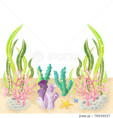 南海のサンゴと海藻のイラストのイラスト素材 [76636037] - PIXTA