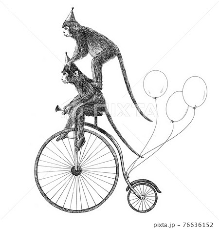 Beautiful stock illustration with cute hand drawn safari animal monkey on the bike with baloons. Birthday party. 76636152