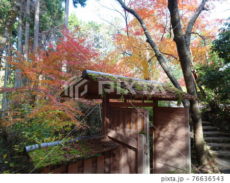 京都 紅葉の名所 常照寺 京都 紅葉の名所 常照寺 76636543