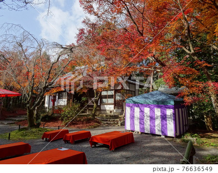 京都 紅葉の名所 常照寺 京都 紅葉の名所 常照寺 76636549