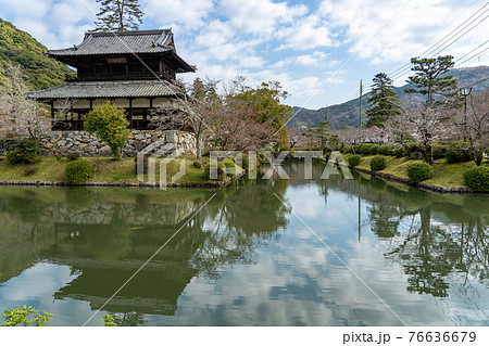 山口県岩国市　吉香公園にある岩国城と錦雲閣周りの堀 76636679