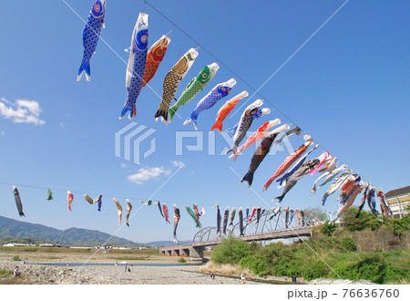 青空にたなびく鯉のぼり　丹生川　和歌山県伊都郡九度山町 76636760
