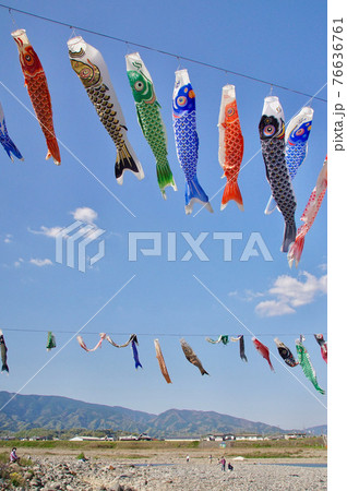 青空にたなびく鯉のぼり　丹生川　和歌山県伊都郡九度山町 76636761
