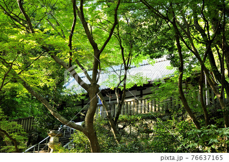 葛木坐火雷神社(笛吹神社) (奈良県葛城市) 葛木坐火雷神社(笛吹神社) (奈良県葛城市) 76637165