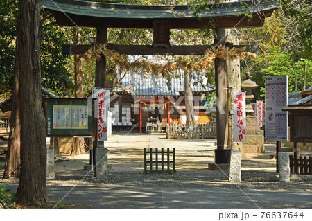 見沼田圃散歩：中山神社　旧称・中氷川神社 76637644
