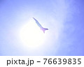 太陽と戦闘機 76639835