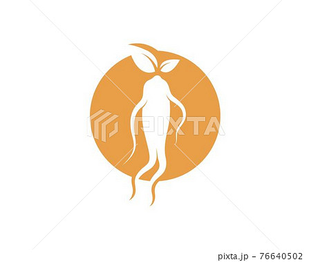 ginseng illustration icon vector design ginseng illustration icon vector design 76640502