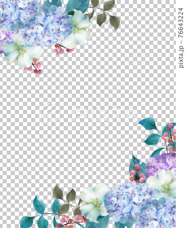 紫陽花の水彩画 フレーム付き 紫陽花と百合のフレーム 水彩イラストのイラスト素材
