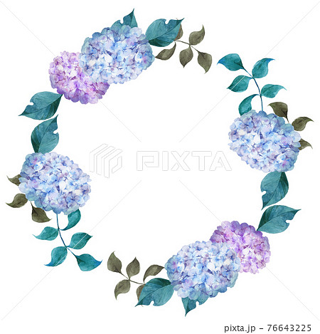 紫陽花のリース 水彩イラストのイラスト素材