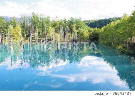 北海道美瑛町 青い池 北海道美瑛町 青い池 76643437