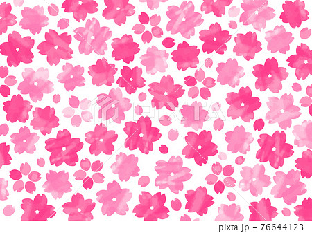 ピンクと赤の水彩画の桜の背景壁紙のイラスト素材