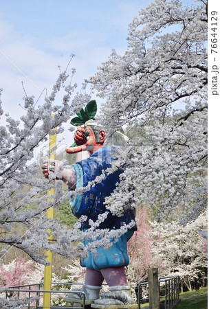 満開の桜の花に囲まれご満悦の大天狗 76644129