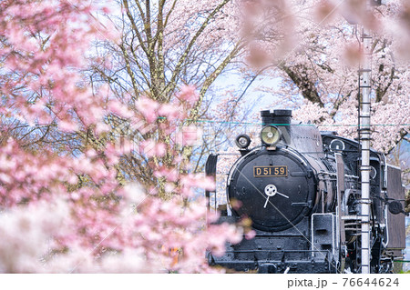 荒神山スポーツ公園の春 76644624