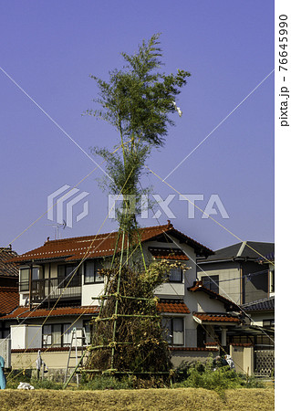 安芸国分寺歴史公園　どんど焼き　竹やぐら　広島県東広島市 76645990